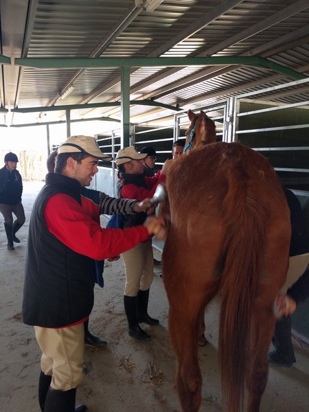 Medallas para Navarra en el Campeonato de España de Equitación FEDDI